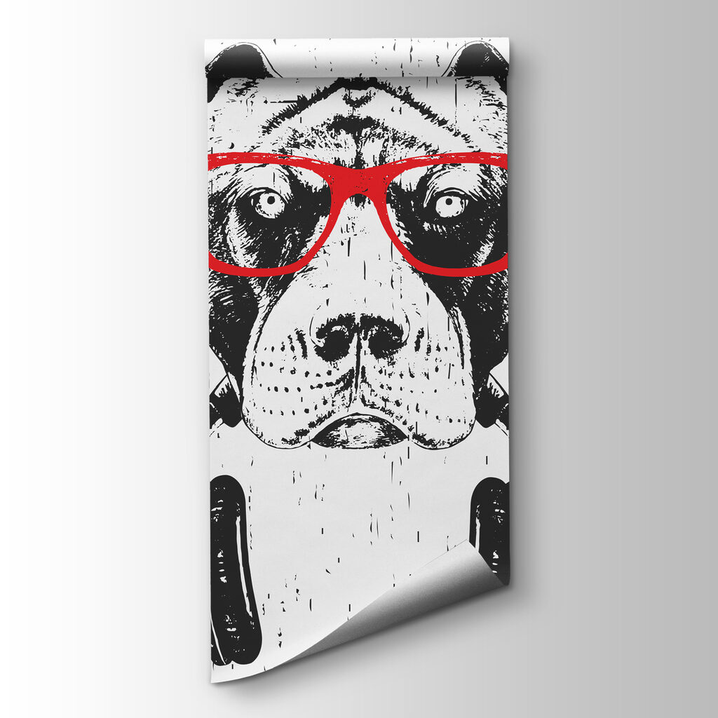 A dog wearing glasses and headphones