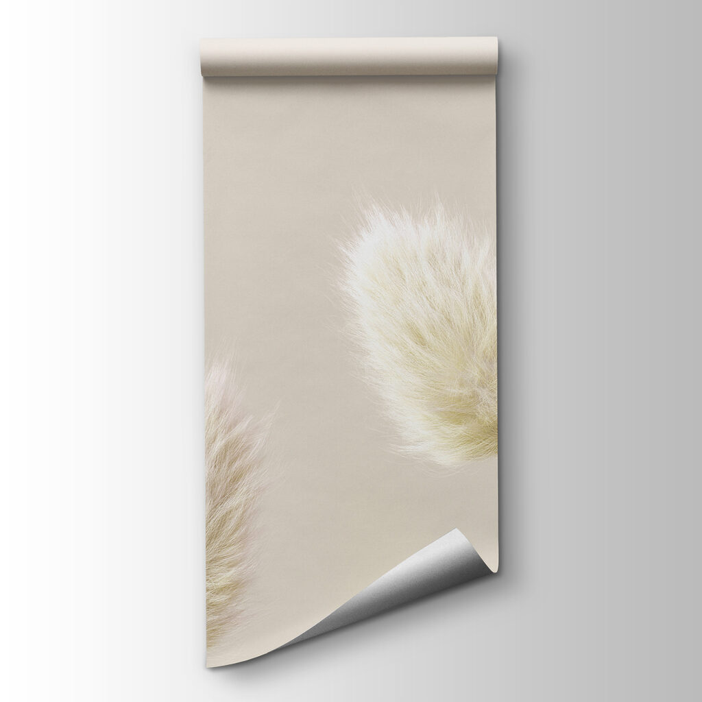 A group of white fluffy flowers