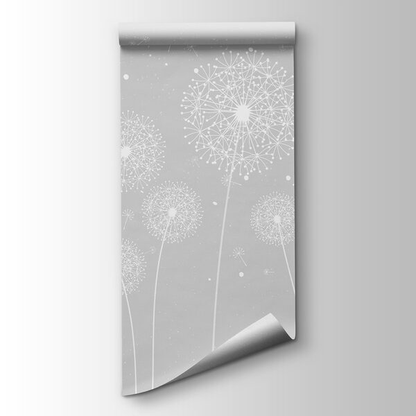 A white dandelions on a grey background