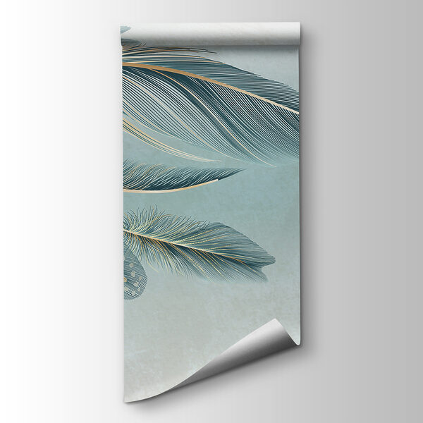 A group of feathers on a white background