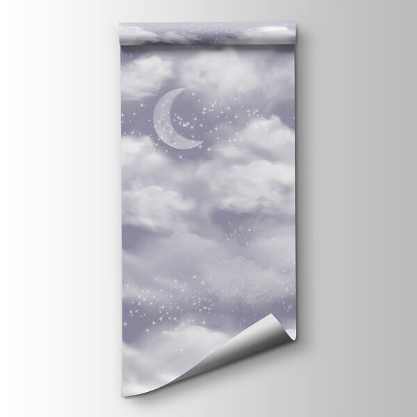 Moon in the sky