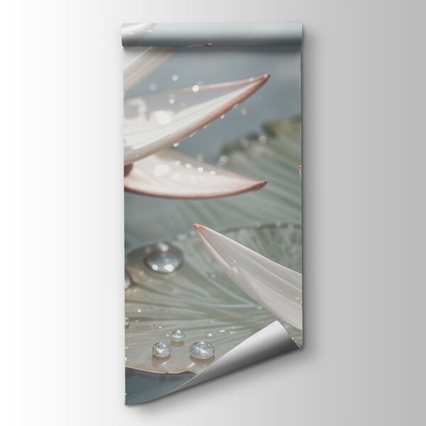 Close up of flowers Close up of flowers