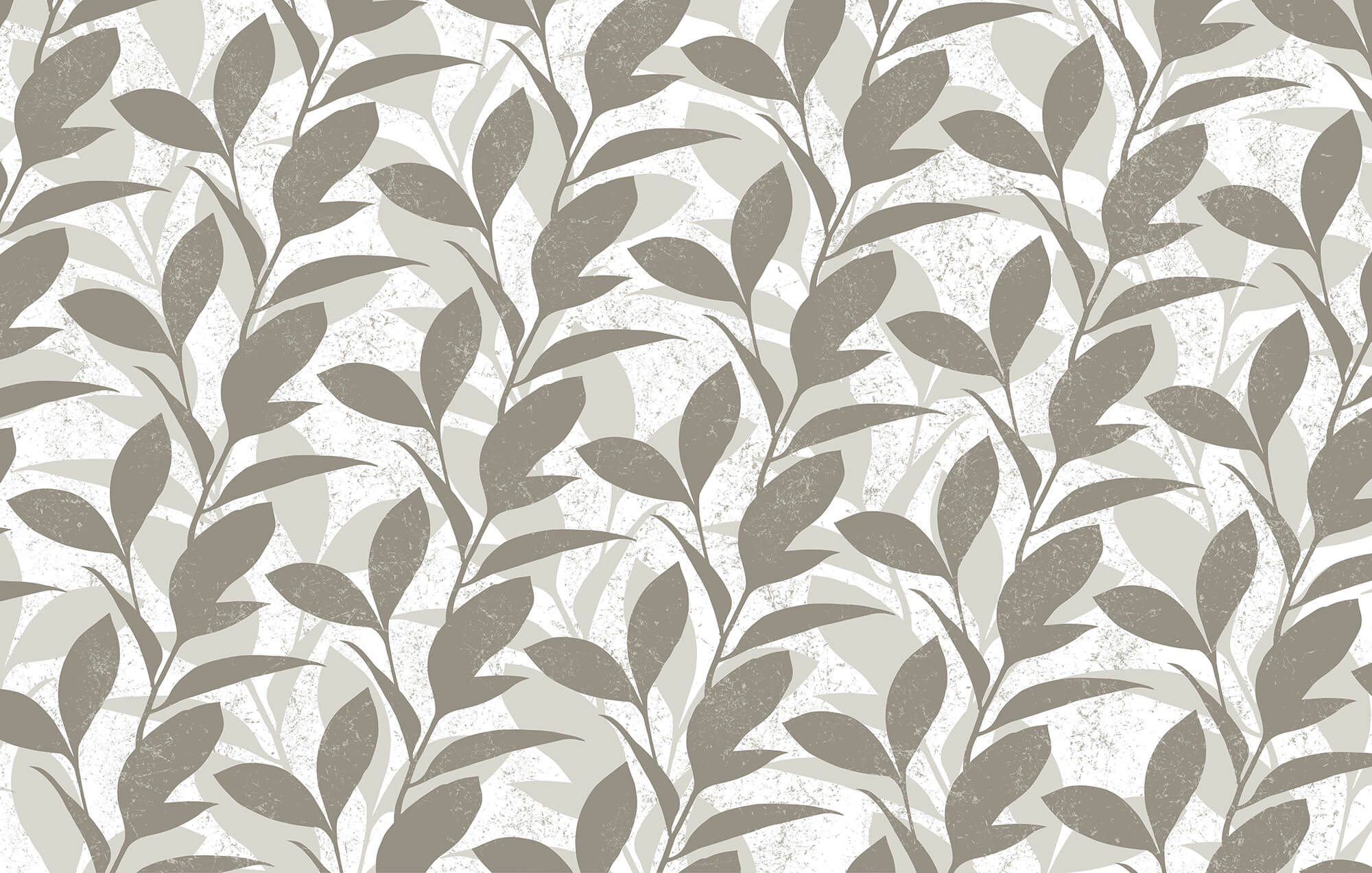 Pattern of leaves on a white background Pattern of leaves on a white background