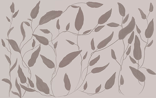 Drawing of leaves on a white background