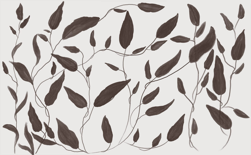 Drawing of leaves on a white background