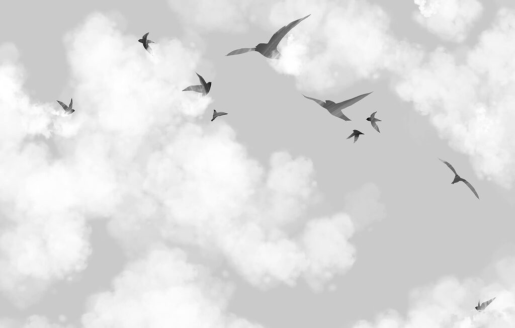 Birds flying birds in the sky