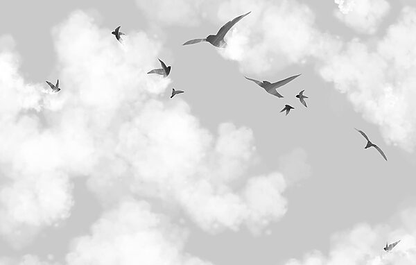 Birds flying birds in the sky