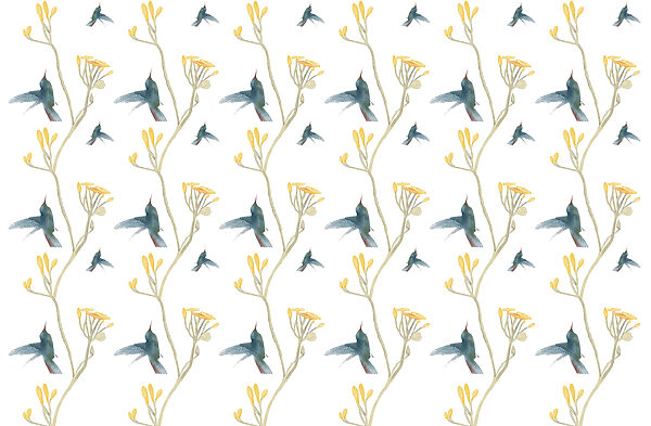 Pattern of birds and flowers