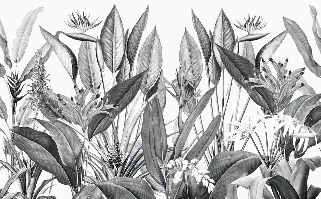 Tropical foliage in monochrome shades Tropical foliage in monochrome shades