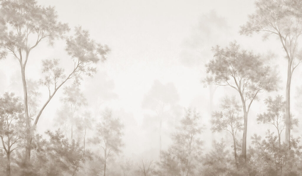 Foggy forest with trees Foggy forest with trees