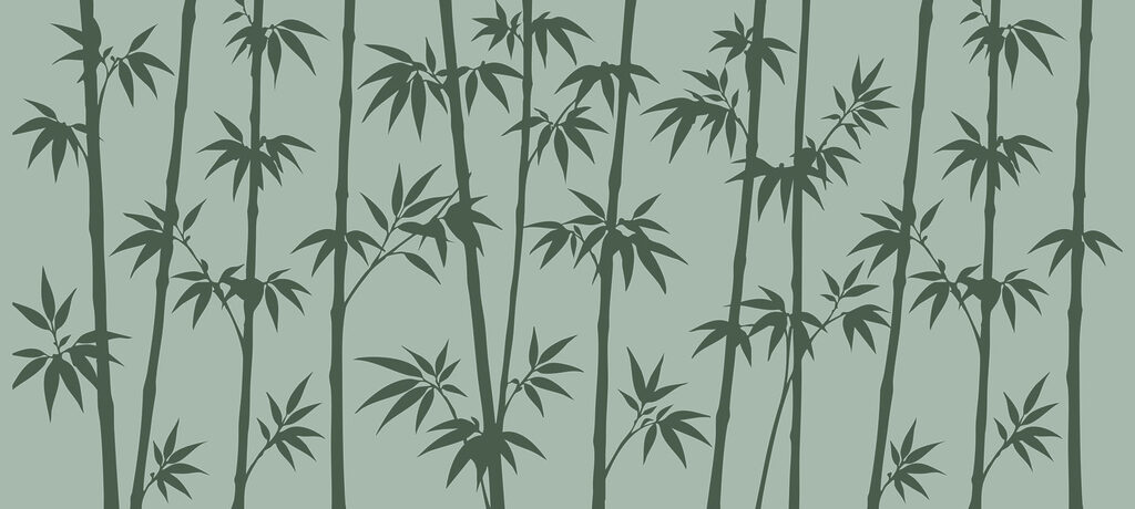 Green bamboo leaves on a grey background Green bamboo leaves on a grey background