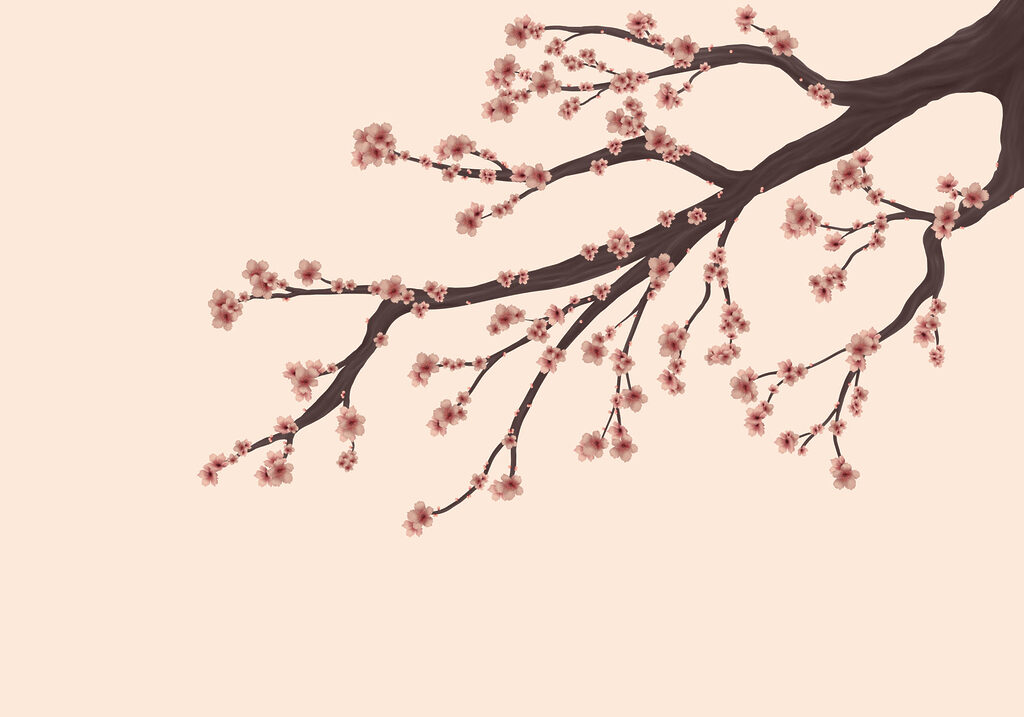 Tree branch with pink flowers Tree branch with pink flowers