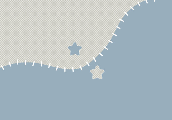 Blue and white fabric with stars