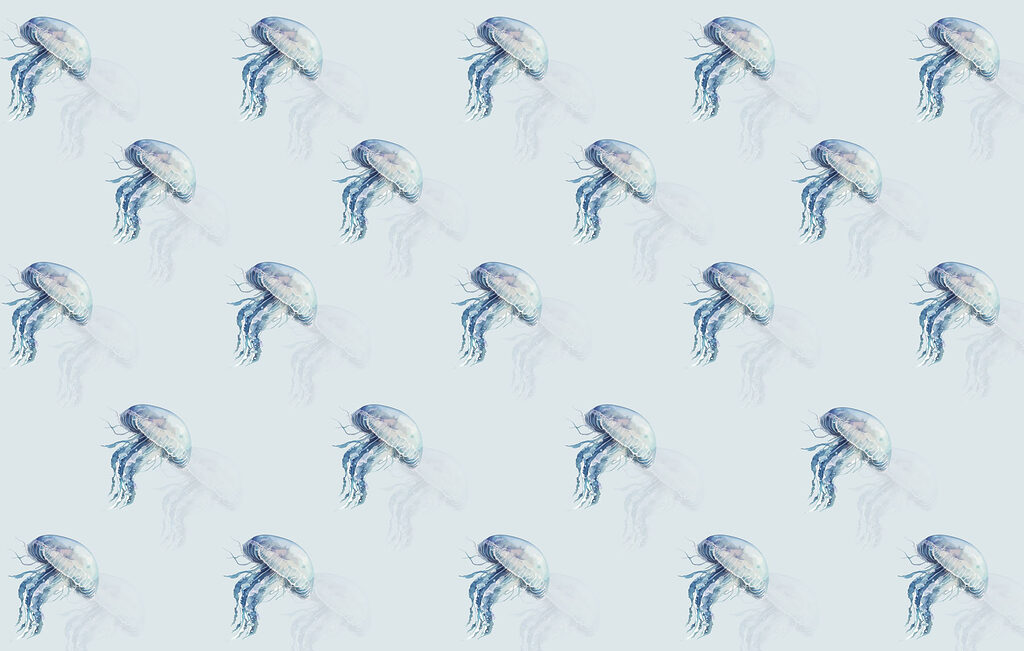 Pattern of jellyfish Pattern of jellyfish