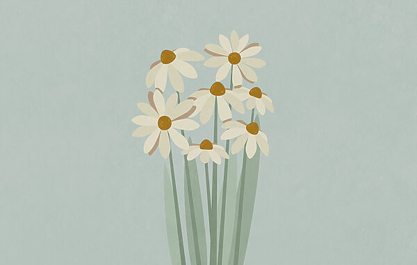 Bunch of white flowers Bunch of white flowers