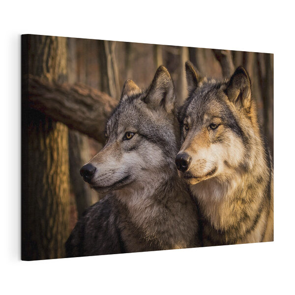 Una pareja de lobos en el bosque Cuadros Una pareja de lobos en el bosque