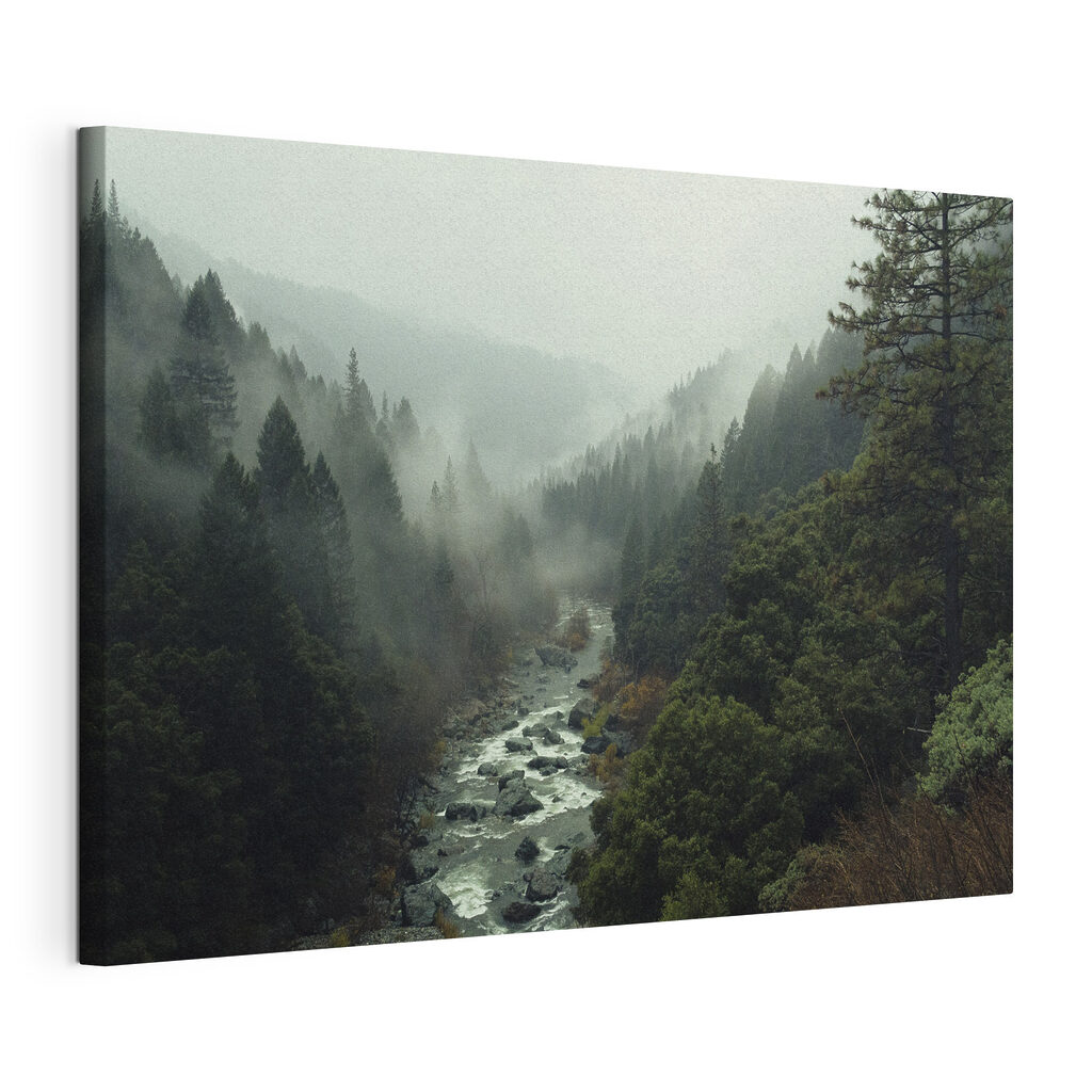 A river running through a forest