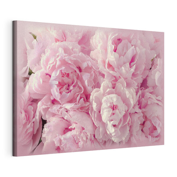 Cuadros Un ramo de flores rosas