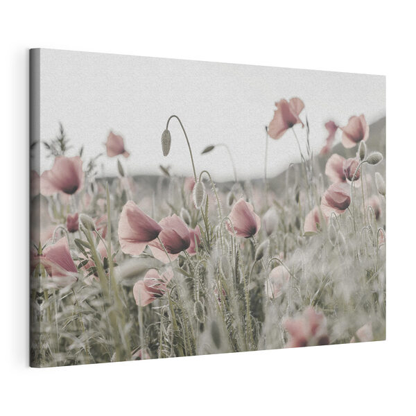 Cuadros Un campo de flores rosas (SKU: s35592) Cuadros Cuadros Un campo de flores rosas (SKU: s35592)