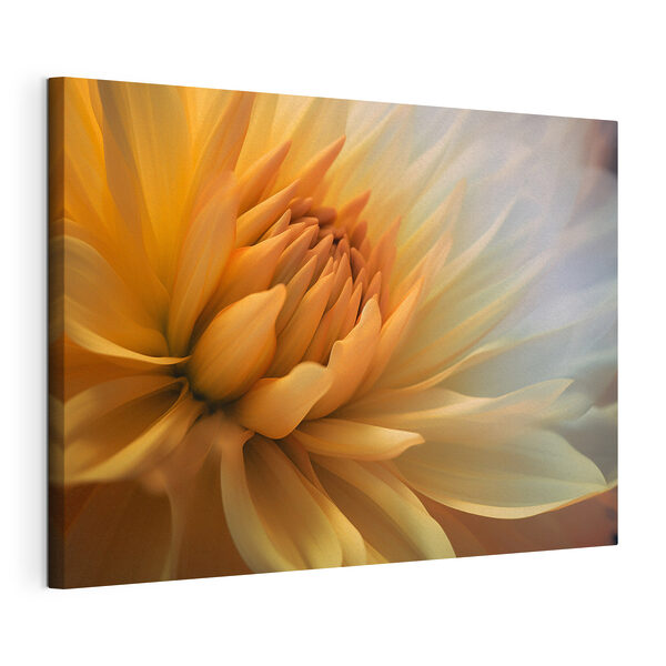 Cuadros Un primer plano de una flor (SKU: s37388) Cuadros Cuadros Un primer plano de una flor (SKU: s37388)