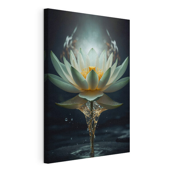Cuadros Una flor blanca con el centro amarillo y salpicaduras de agua (SKU: s38435) Cuadros Cuadros Una flor blanca con el centro amarillo y salpicaduras de agua (SKU: s38435)