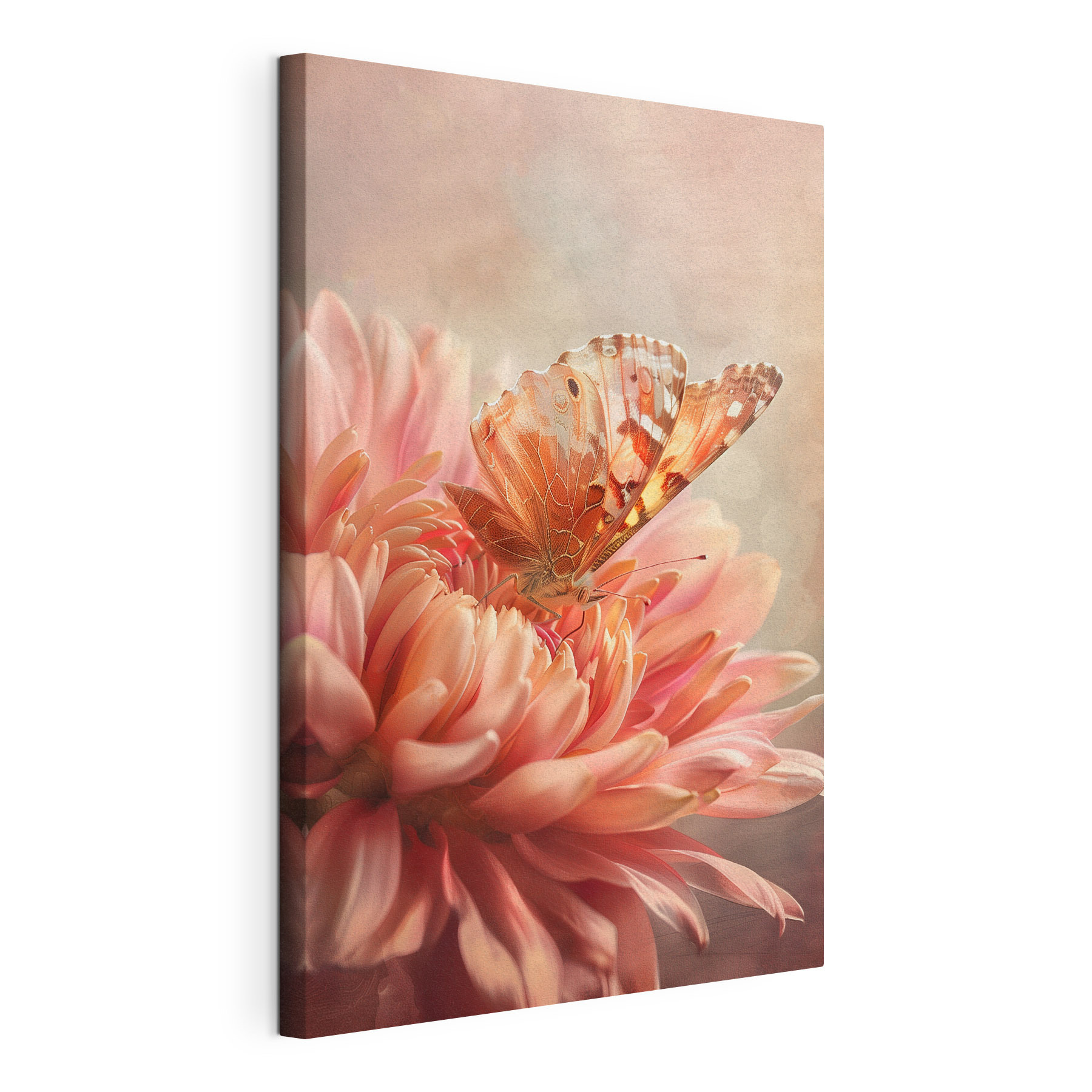A butterfly on a flower A butterfly on a flower