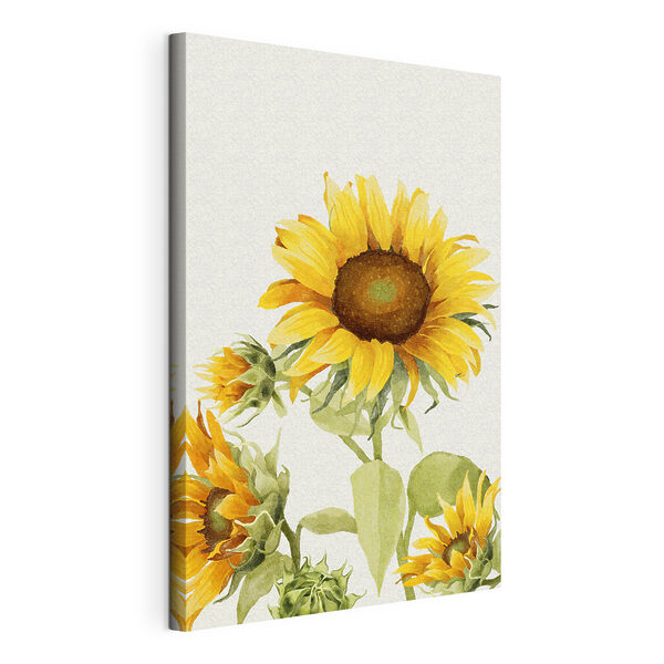 Cuadros Un primer plano de un girasol (SKU: s39341) Cuadros Cuadros Un primer plano de un girasol (SKU: s39341)