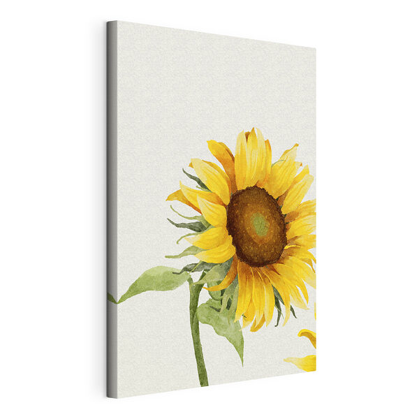 Cuadros Un primer plano de un girasol (SKU: s39343) Cuadros Cuadros Un primer plano de un girasol (SKU: s39343)