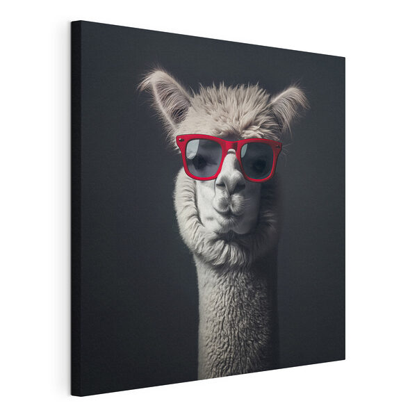 Una llama con gafas de sol rojas Cuadros Una llama con gafas de sol rojas