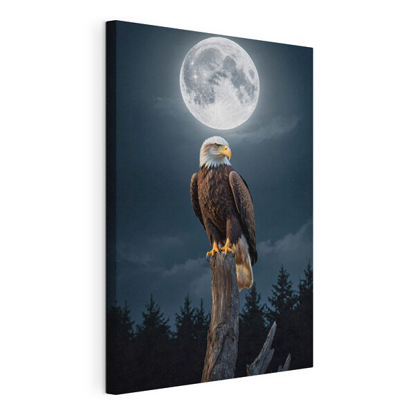 Cuadros Águila calva posada en un poste con la luna llena al fondo (SKU: s41043) Cuadros Cuadros Águila calva posada en un poste con la luna llena al fondo (SKU: s41043)