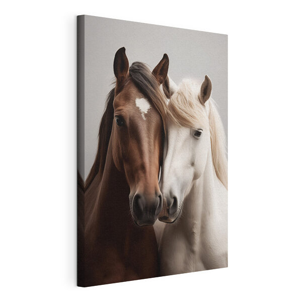 Dos caballos con las cabezas juntas Cuadros Dos caballos con las cabezas juntas
