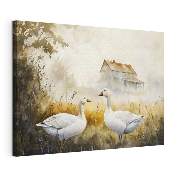 Cuadros Acuarela de dos gansos en un campo (SKU: s44024) Cuadros Cuadros Acuarela de dos gansos en un campo (SKU: s44024)
