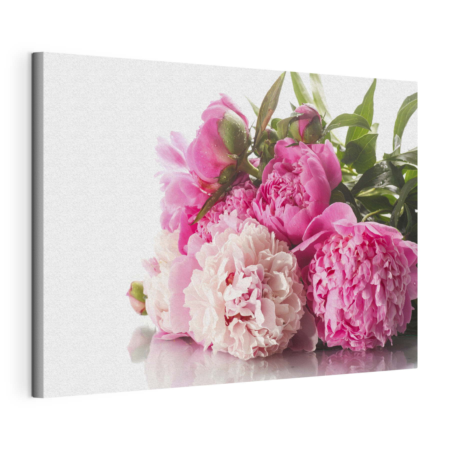 A bunch of pink and white flowers