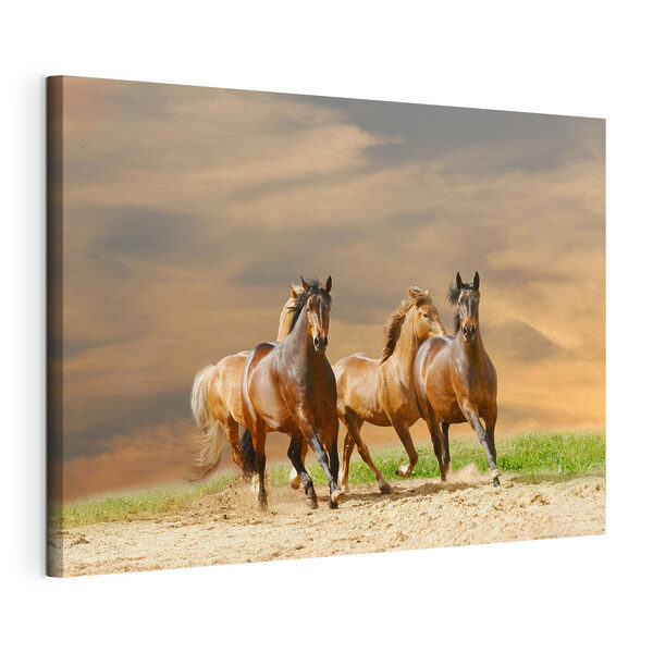 Un grupo de caballos corriendo por un camino de tierra Cuadros Un grupo de caballos corriendo por un camino de tierra