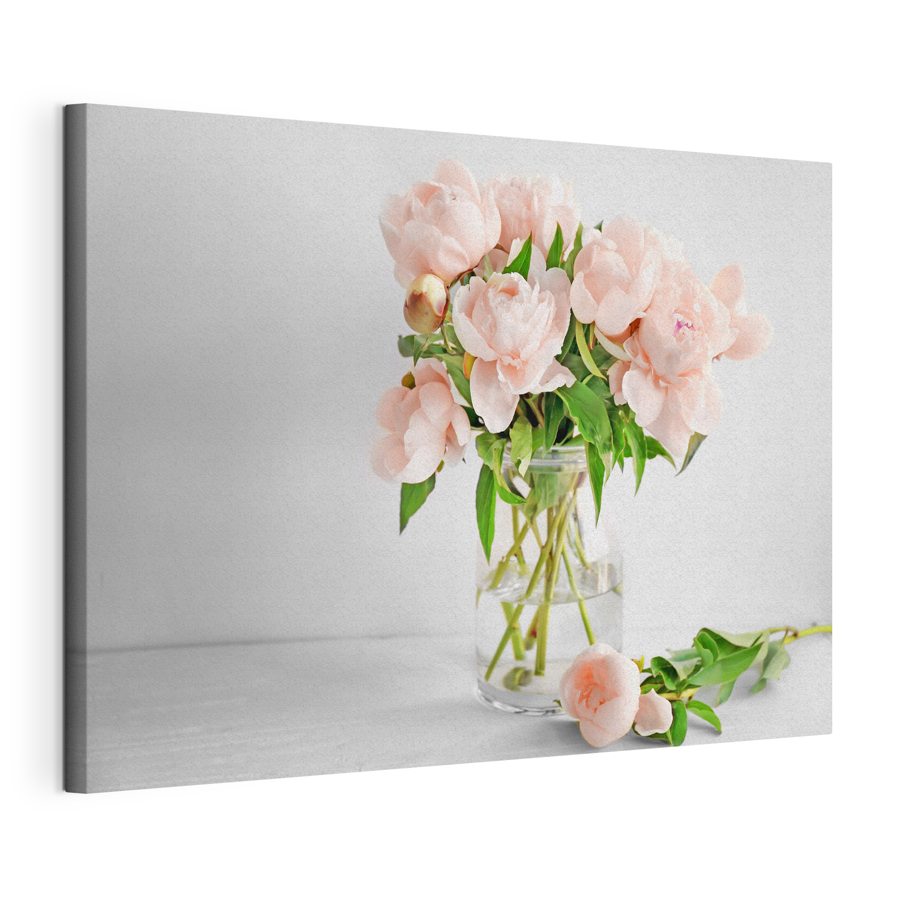 A vase of pink flowers A vase of pink flowers