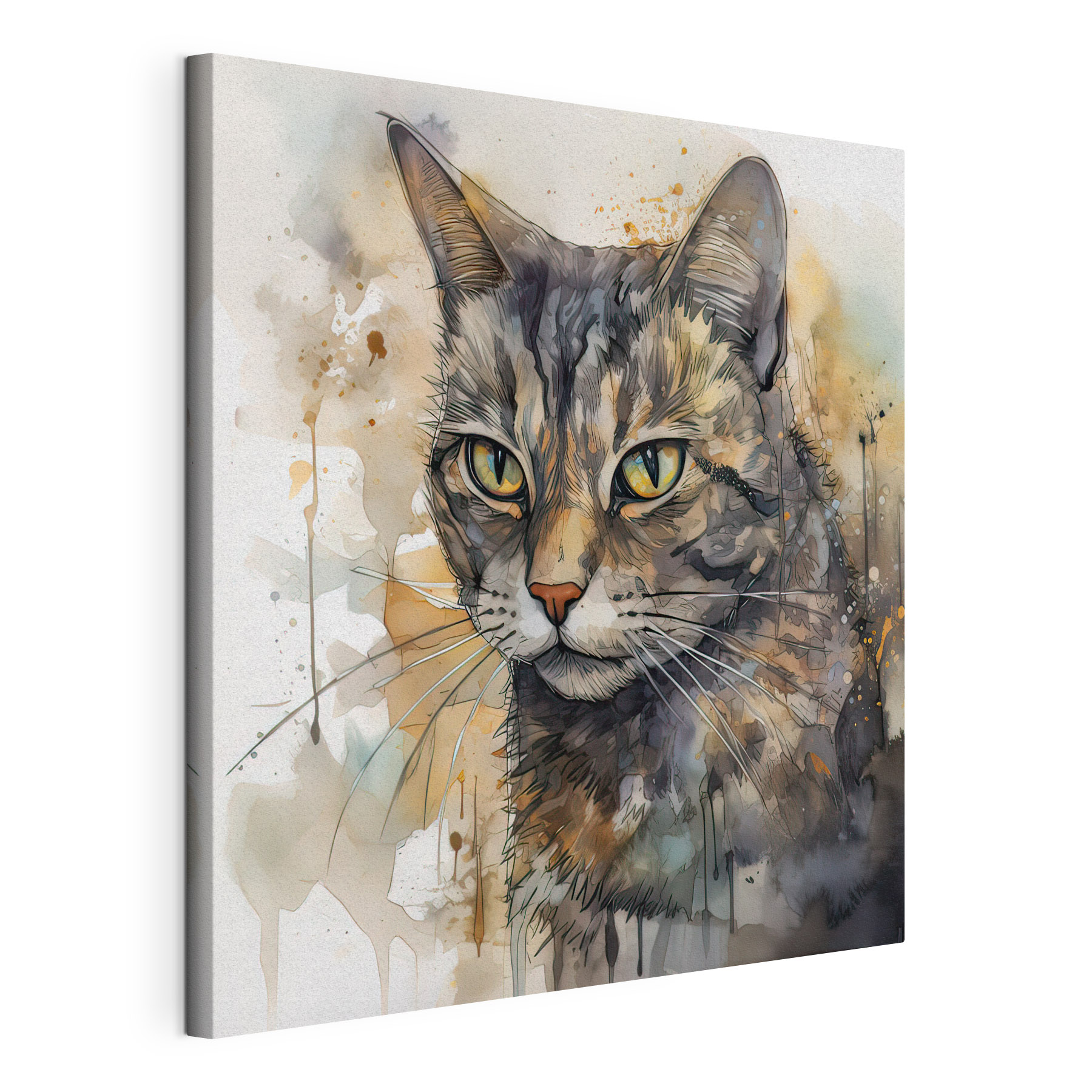 Cat with yellow eyes