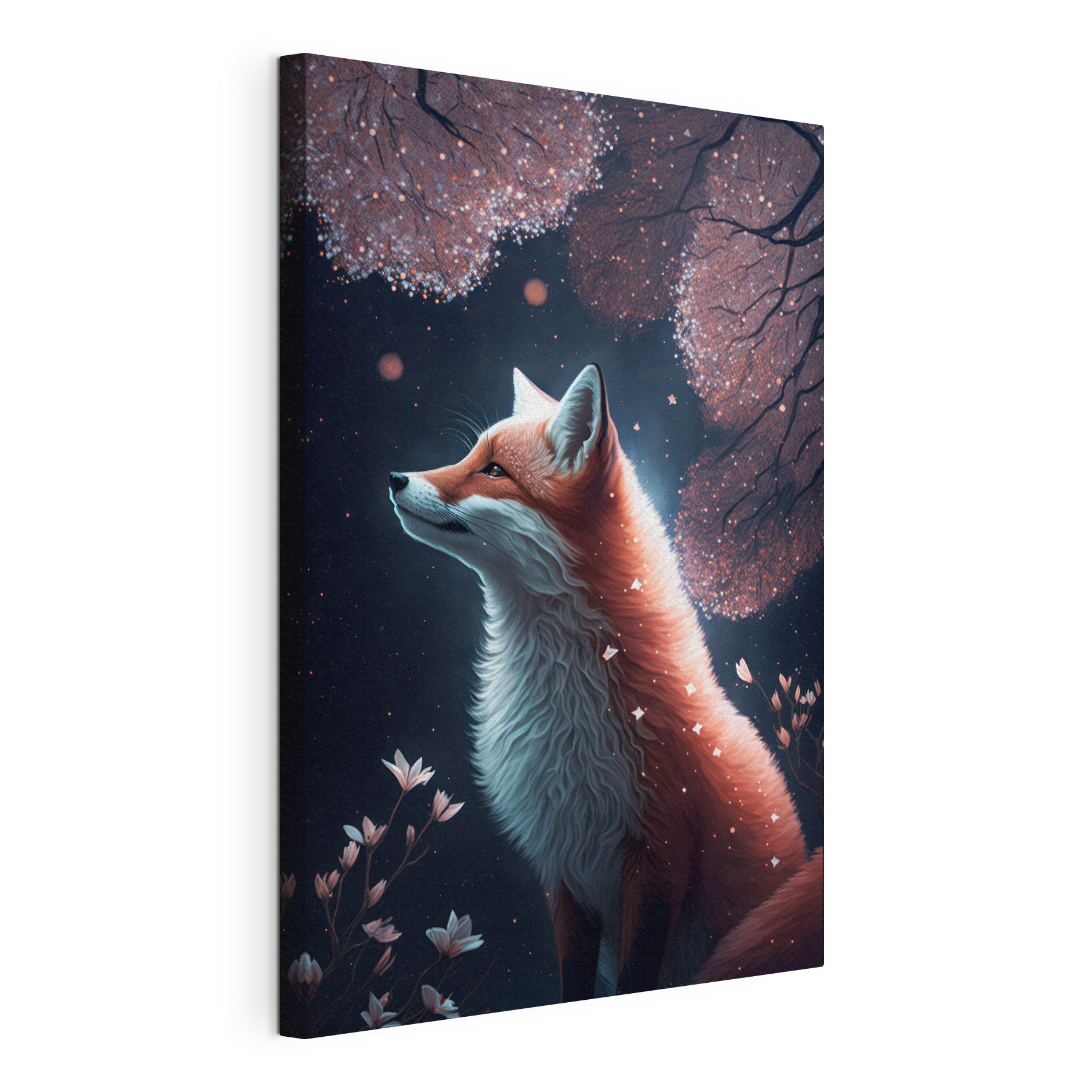 Fox looking up at the sky