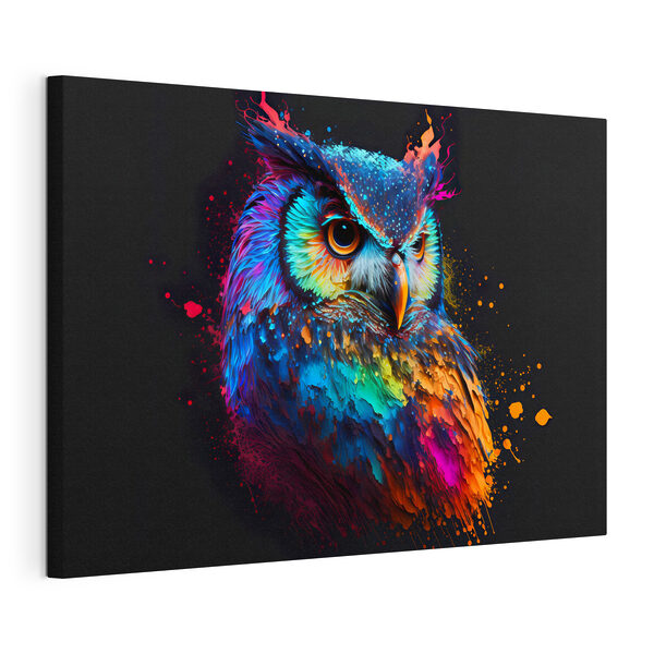 Cuadros Un búho de colores con salpicaduras de pintura (SKU: s33551) Cuadros Cuadros Un búho de colores con salpicaduras de pintura (SKU: s33551)