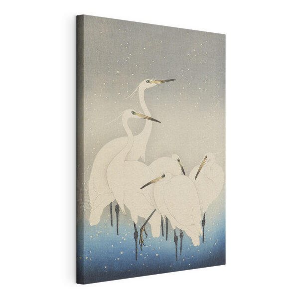 Cuadros Cuadros Un grupo de aves blancas de pico largo (SKU: s33730)