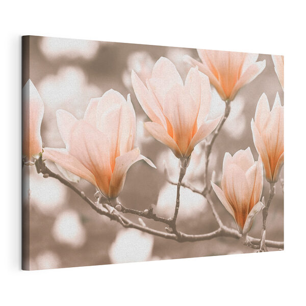 Cuadros Un ramillete de flores en una rama (SKU: s35232) Cuadros Cuadros Un ramillete de flores en una rama (SKU: s35232)