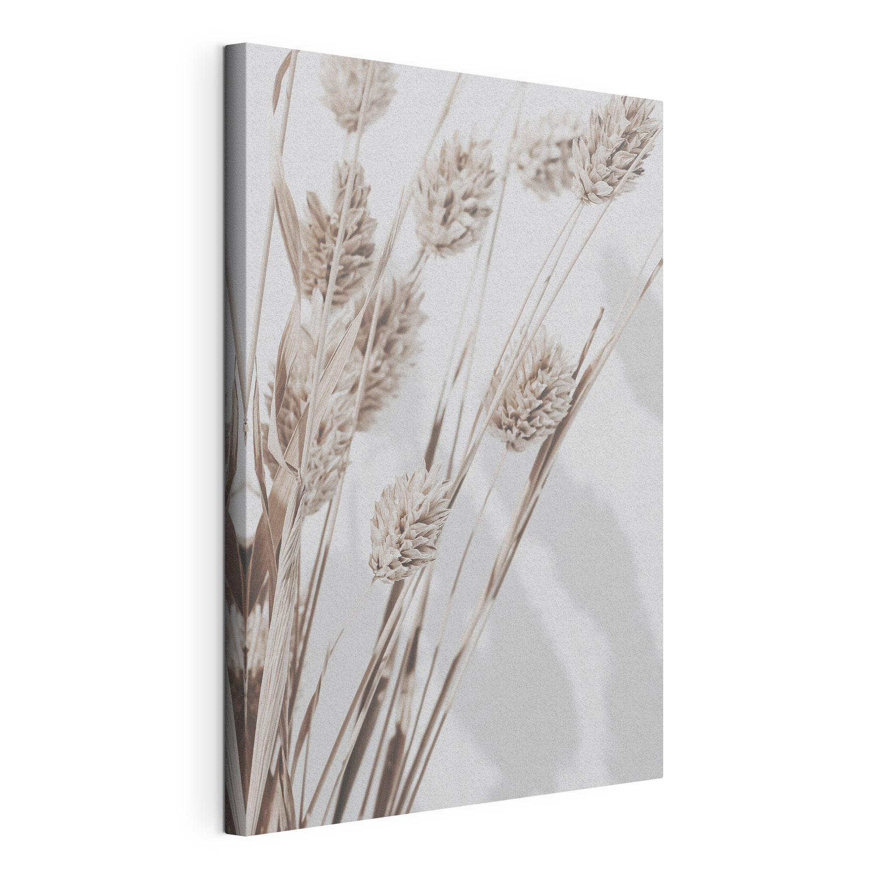 Dried grasses create a calming atmosphere