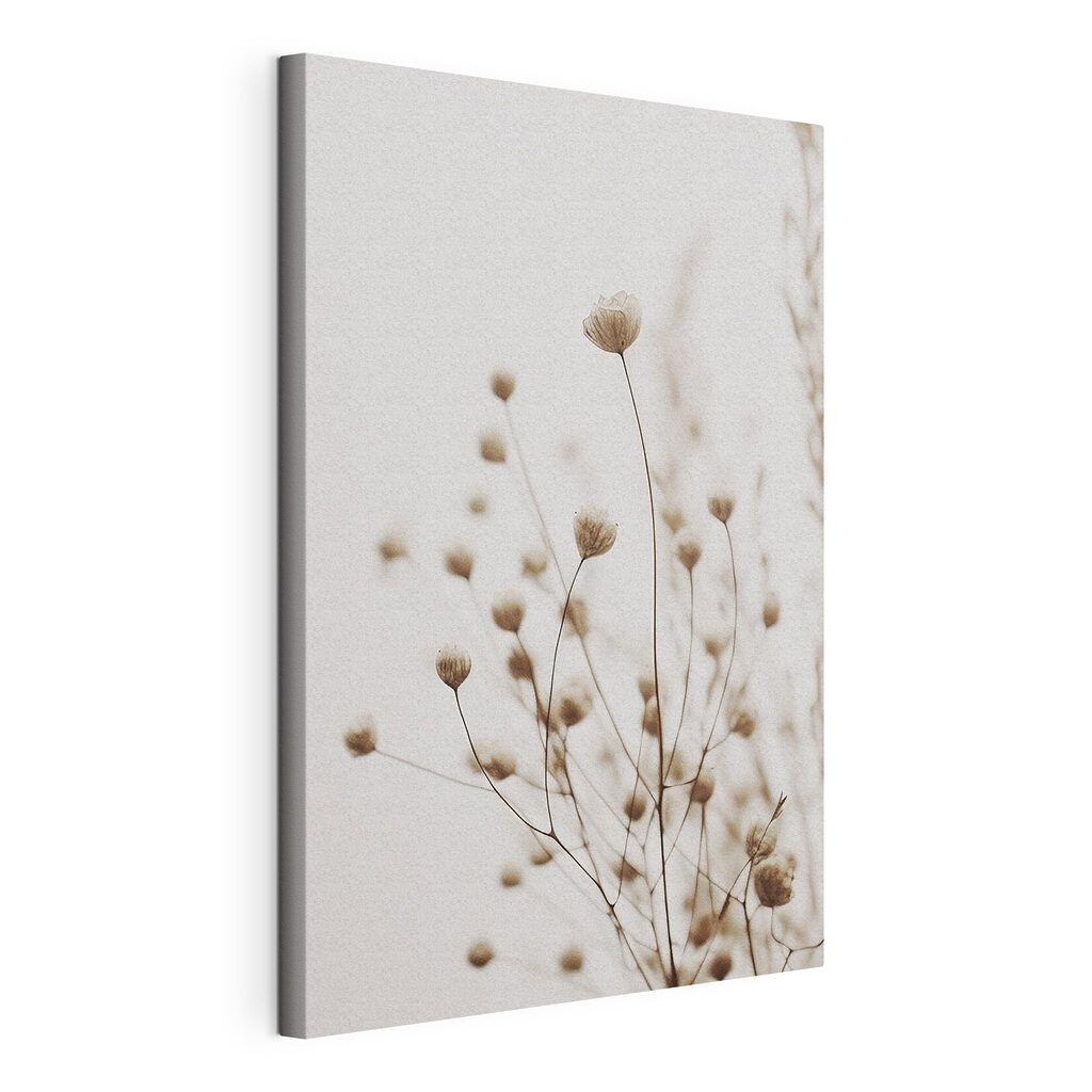 Delicate blooms in soft focus elegance Delicate blooms in soft focus elegance