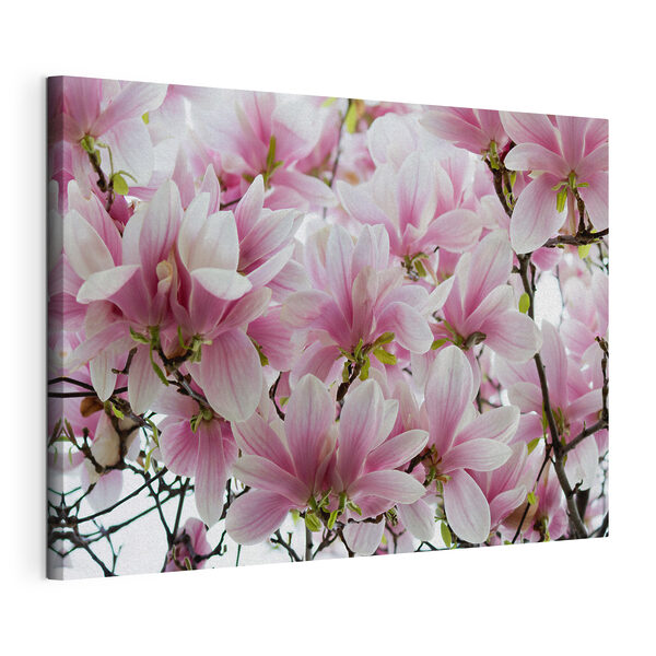 Cuadros Ramo de flores rosas (SKU: s35782) Cuadros Cuadros Ramo de flores rosas (SKU: s35782)