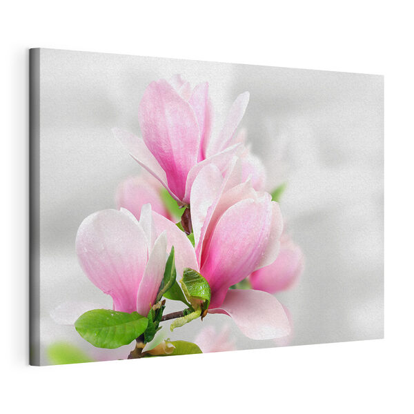 Cuadros Magnolias rosas en flor (SKU: s35785) Cuadros Cuadros Magnolias rosas en flor (SKU: s35785)