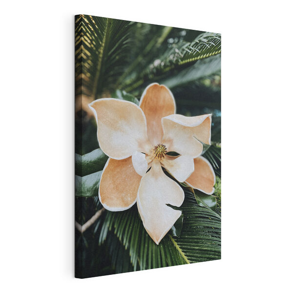 Cuadros Floración tropical en un entorno de exuberante vegetación (SKU: s35788) Cuadros Cuadros Floración tropical en un entorno de exuberante vegetación (SKU: s35788)