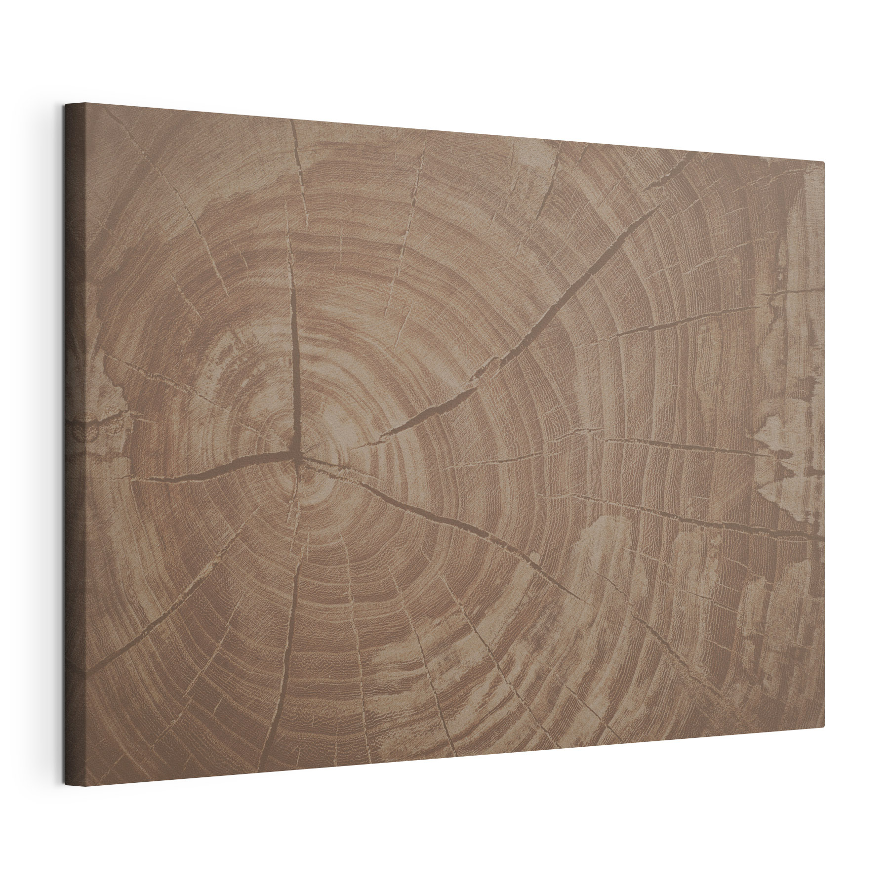 Tree Rings Tell Nature's Story Tree Rings Tell Nature's Story