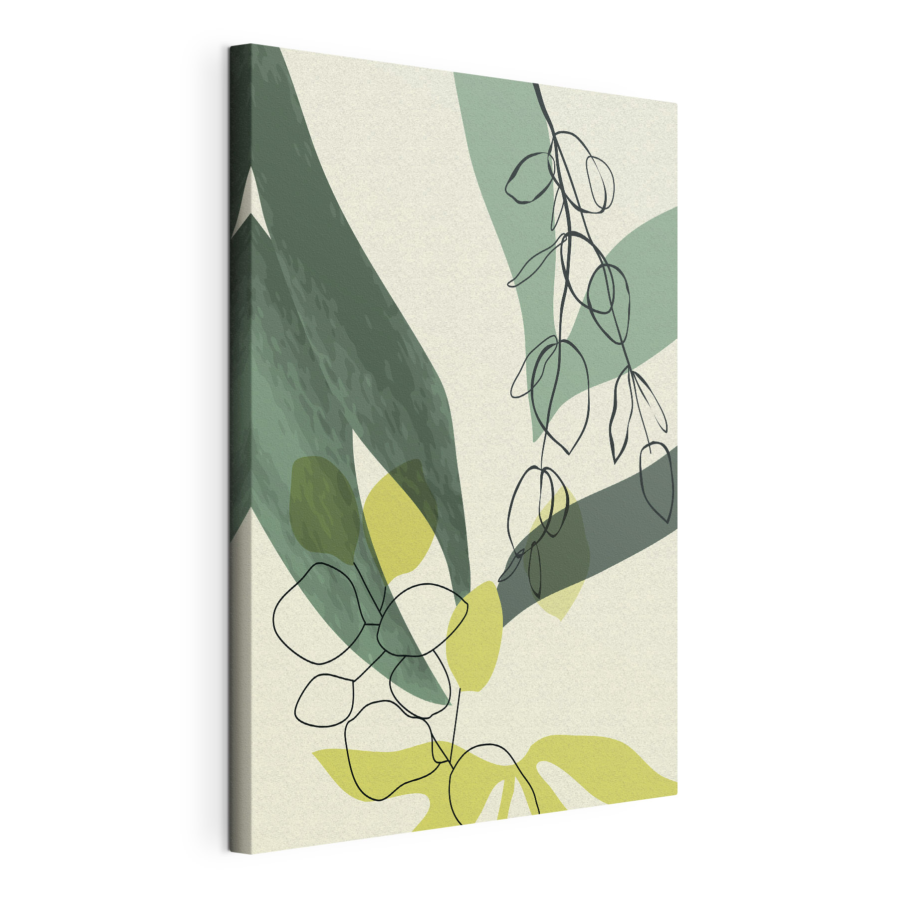 A drawing of a plant A drawing of a plant