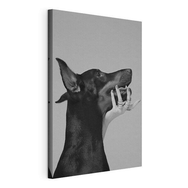 Cuadros Cuadros Una mano que sujeta la cara de un perro (SKU: s36178)