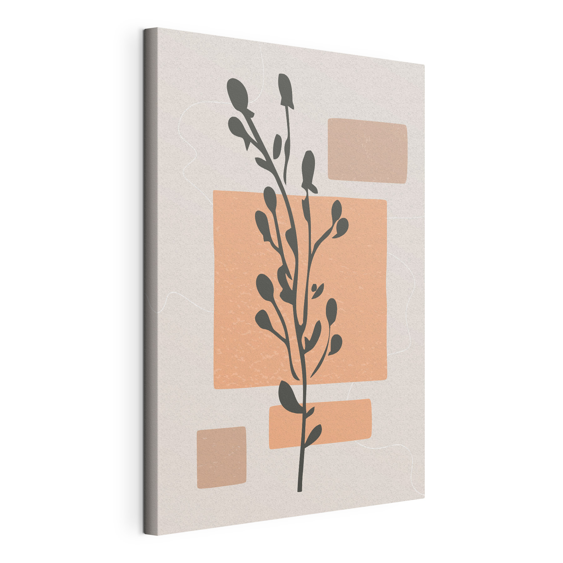 Plant with leaves and squares Plant with leaves and squares