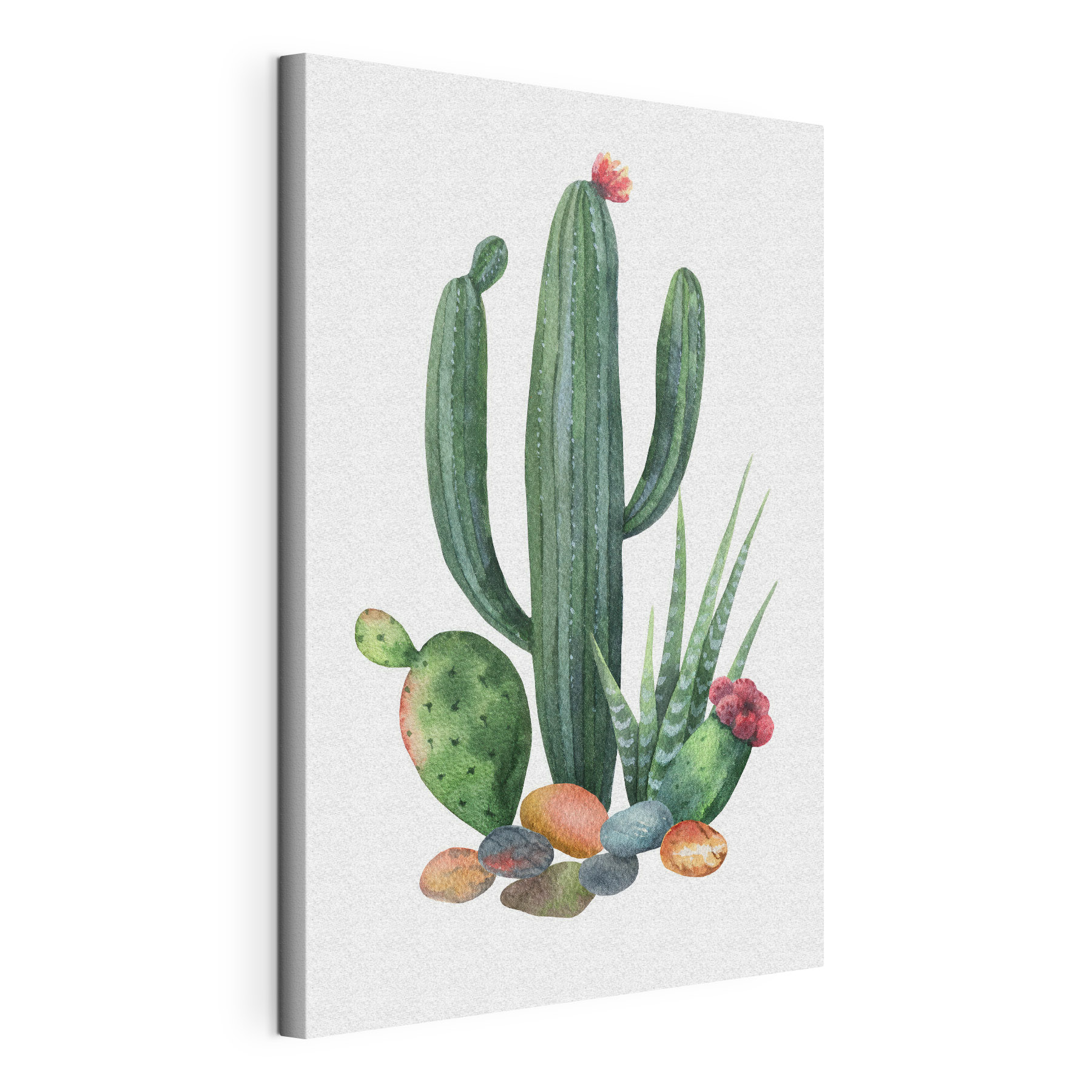 Watercolor of a cactus and rocks Watercolor of a cactus and rocks